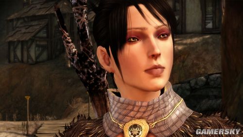 ���������ͣ���Դ��BLOOD DRAGON��װ