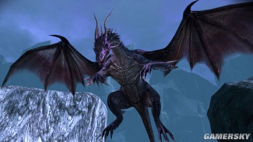 ���������ͣ���Դ��������HIGH&nbsp;GRAGON��