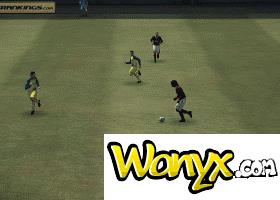 ��ʵ������2010����������ĵü���Ƶ