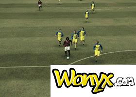 ��ʵ������2010����������ĵü���Ƶ