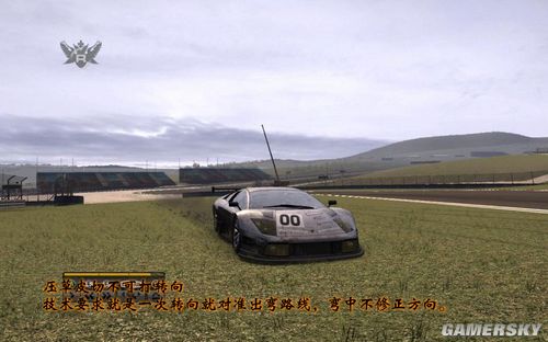 ����Ʒ�ɳ�13��GRID��������ͼ����Ƶ-��˹̹����-GT1-KIMI