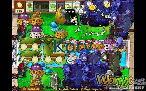 《植物大战僵尸》Endless63波两种阵法攻略心得