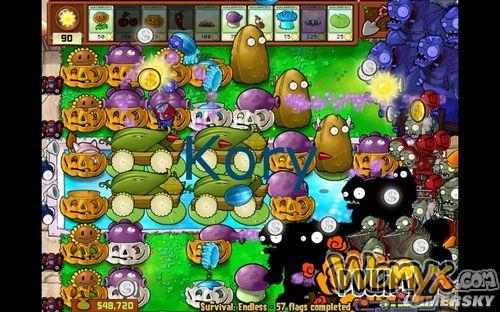 ��ֲ���ս��ʬ��Endless63�������󷨹����ĵ�