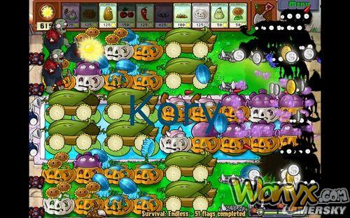 《植物大战僵尸》Endless63波两种阵法攻略心得