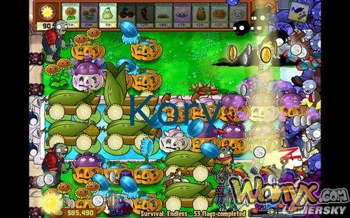 《植物大战僵尸》Endless63波两种阵法攻略心得