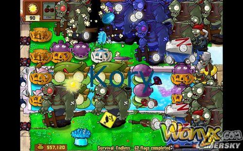 《植物大战僵尸》Endless63波两种阵法攻略心得