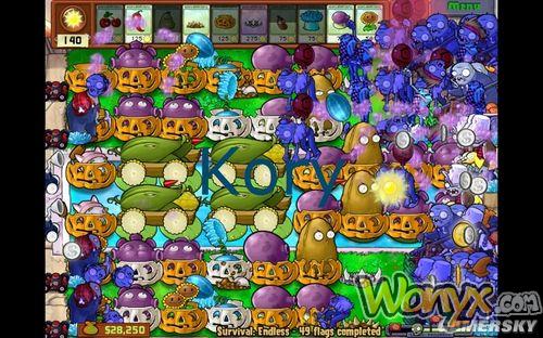 ��ֲ���ս��ʬ��Endless63�������󷨹����ĵ�