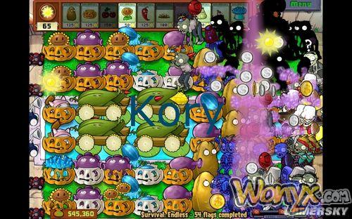 ��ֲ���ս��ʬ��Endless63�������󷨹����ĵ�