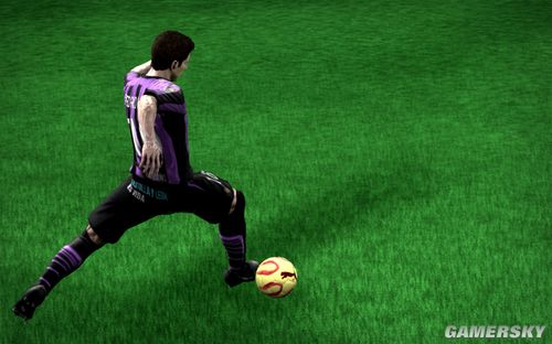 ��FIFA 10��������������Ч��Ԥ��ͼ