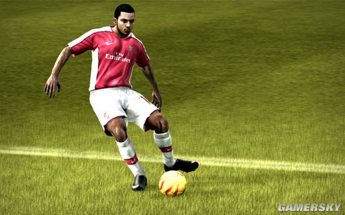 ��FIFA 10��������������Ч��Ԥ��ͼ