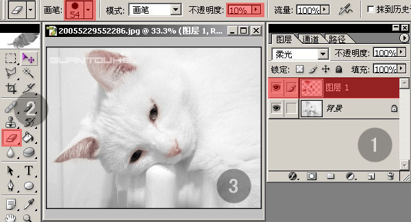 辶-PHOTOSHOPƫɫƬ