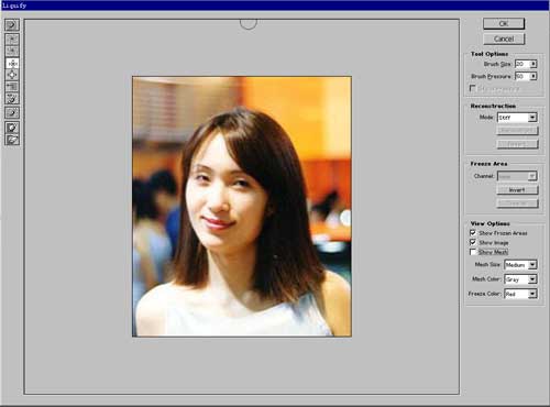 Photoshop6.0¼֮Liquily(1)