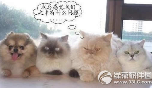 cf��Ĵ�Խ�ҵĶ����ַ ������ϵ�л��Ĵ�Խ�ҵĶ�