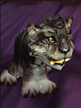 ħ��ҹ�б�������λ�� ħ������wowҹ�б���������ͼ