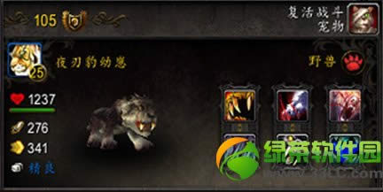 魔兽夜刃豹幼崽如何获得 魔兽世界wow夜刃豹幼崽属性图