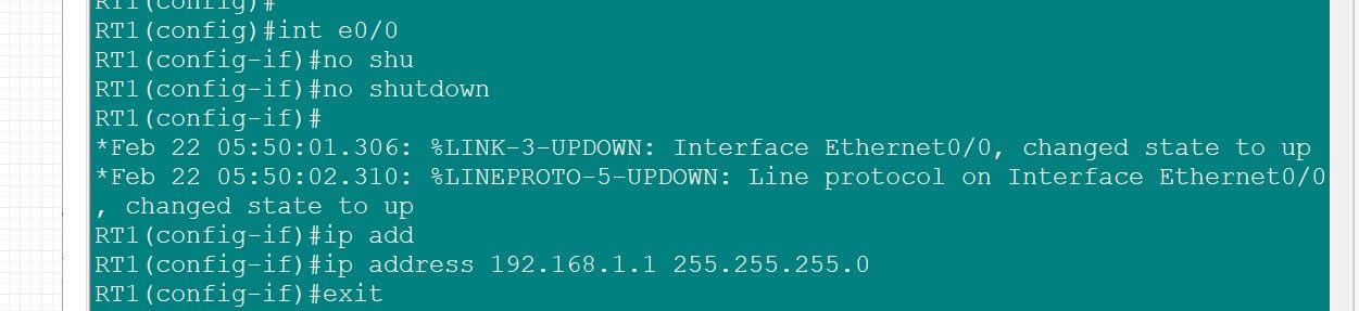 CCNA̬·(·̬·)