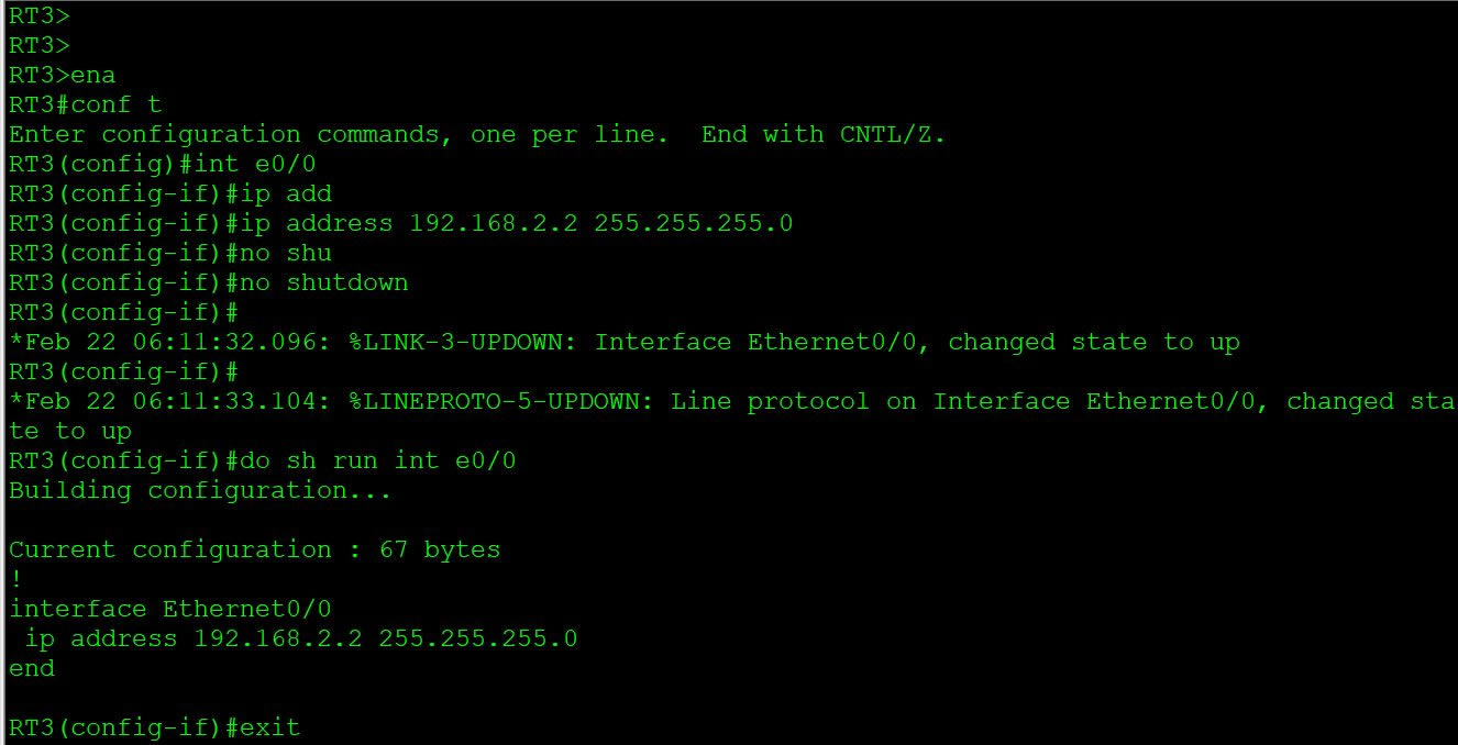 CCNA̬·(·̬·)