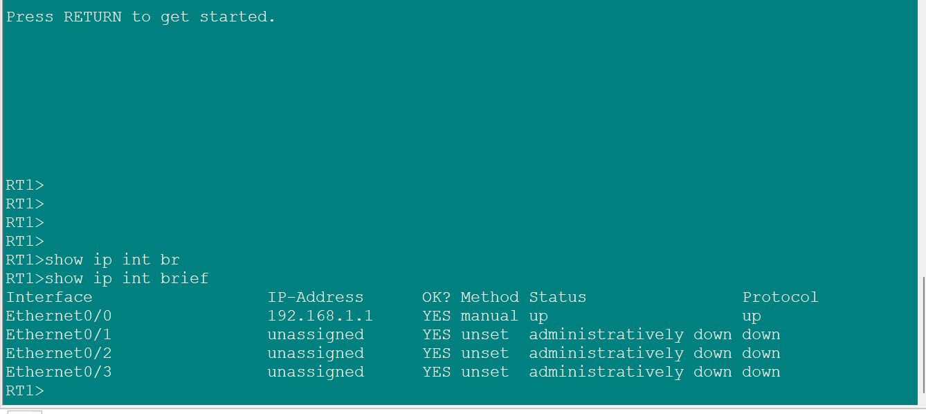 CCNA̬·(·̬·)