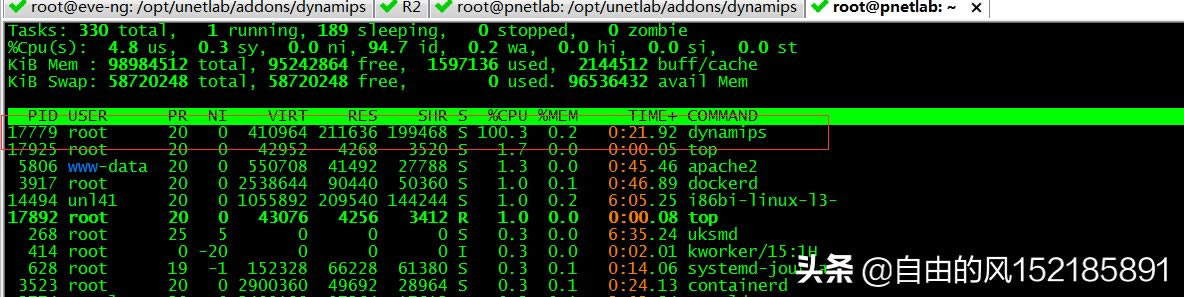 pnetģdynamips(pnetģ뻪Ϊ豸)