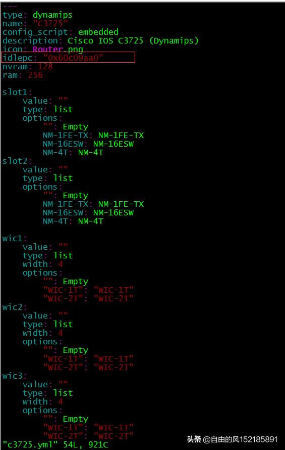 pnetģdynamips(pnetģ뻪Ϊ豸)