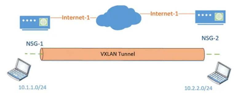 ɶVXLAN(ɶVXLANеVTEP)