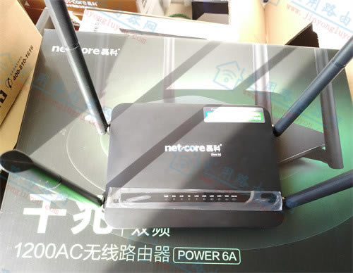 ڿ(Netcore)Power 6a·ӿڼɴȫ