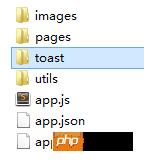 ΢ſ֮toastʾʹð