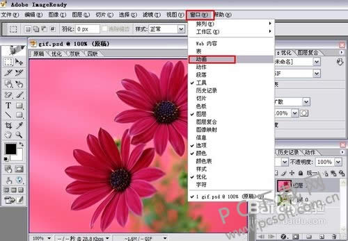 adobe imageready cs2gif