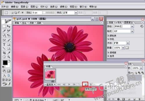 adobe imageready cs2gif