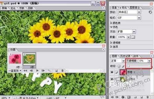 adobe imageready cs2gif