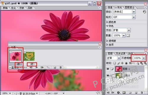 adobe imageready cs2gif