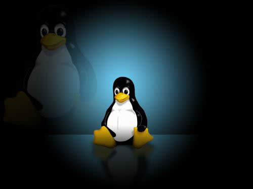 Linuxϵͳֳ