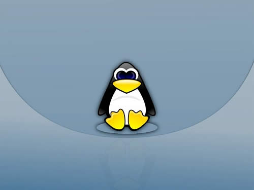 linuxϵͳ·IPַİ취