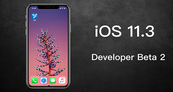 iOS 11.3 Beta 2ɶ iOS 11.3 Beta 2б