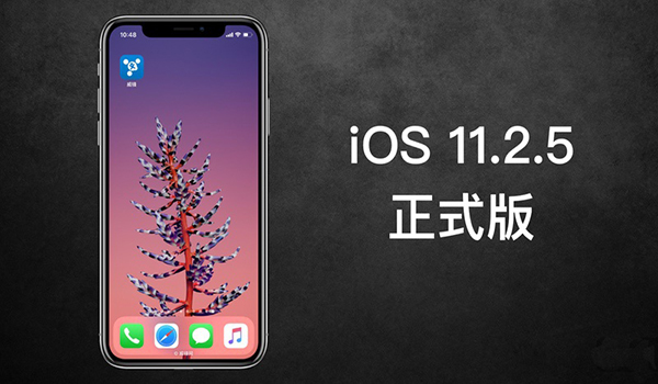 iOS 11.2.5ɶ iOS 11.2.5б