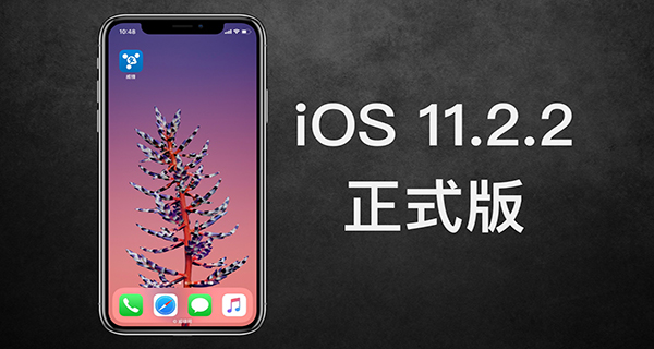 iOS 11.2.2 iOS 11.2.2̼صַ