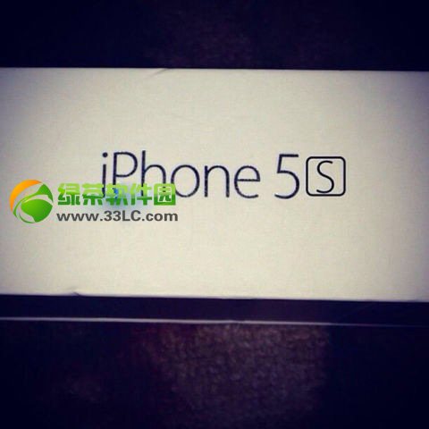 iphone5sռװع