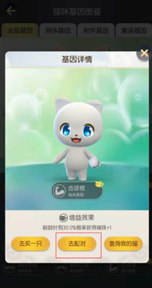 һ����׽��è����ʲô��_һ����׽��è�����÷������