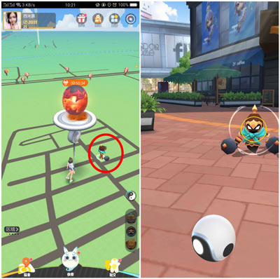 һ����׽��ϡ���������ץ_һ����׽��ϡ�����鲶׽����