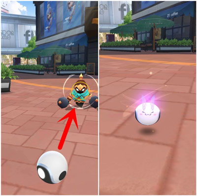 һ����׽��ϡ���������ץ_һ����׽��ϡ�����鲶׽����