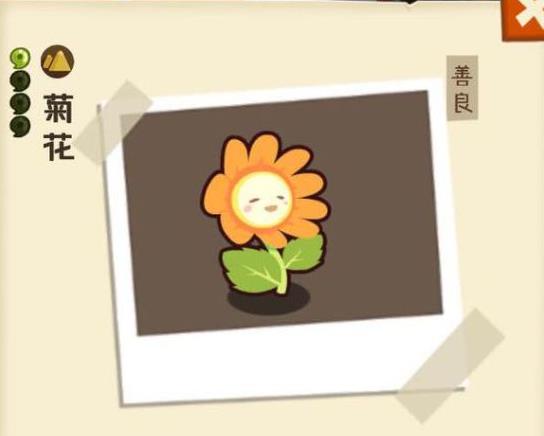 ��������÷��������������_��������÷��������Ϸ������