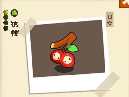 �������ʶ���԰��������_�������ʶ���԰��Ϸ������