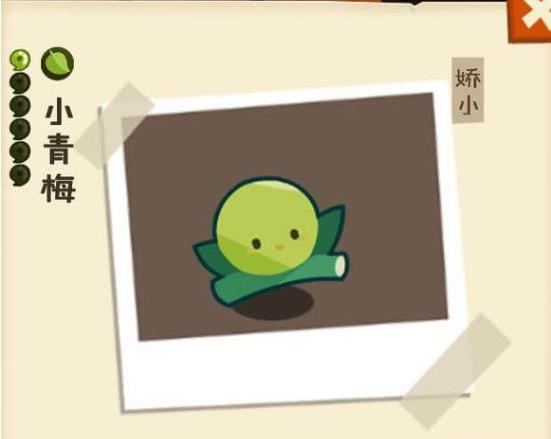 妖怪手帐青梅竹马组合如何样_妖怪手帐青梅竹马组合分析详解