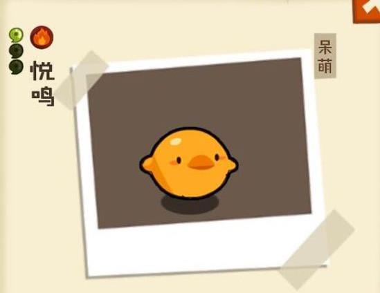 妖怪手帐风雨雷电组合如何样_妖怪手帐风雨雷电组合分析详解