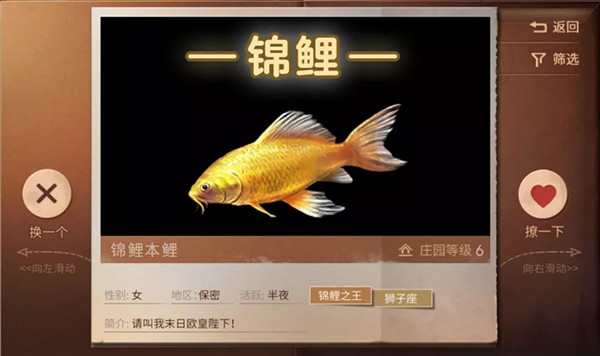 ����֮���ǩ����֮����ʲô��˼_����֮���ǩ����֮�����