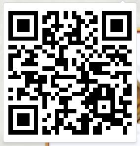 �ҽ�MT4���������������_�ҽ�MT4�����������ȡ��ַ