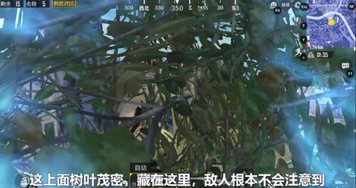 ���������̼�ս��ѧУҰ�������������_���������̼�ս��ѧУҰ���������˼���