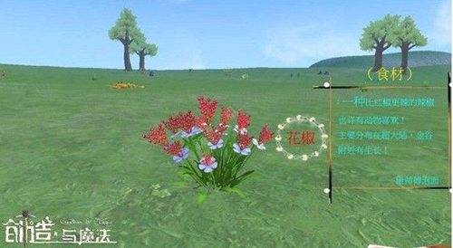 ������ħ�������ֲ�λ��һ��_������ħ������������