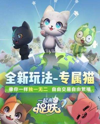һ����׽�����������ʲô��˼_һ����׽��ר��è��ֳ�����������