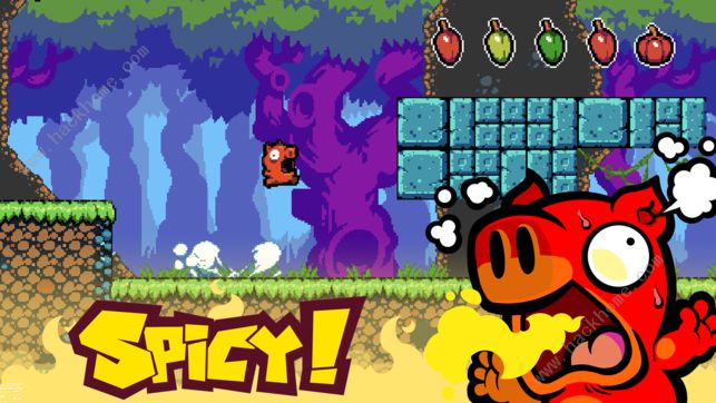 Spicy Piggyȫ�ؿ�ͨ�ش�ȫ_����С���ؿ���ȫ